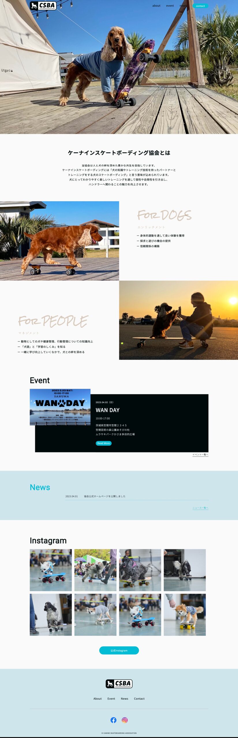 TOPページ PCキャプチャ